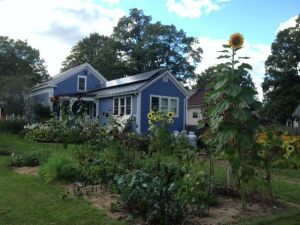 Garden and back of house